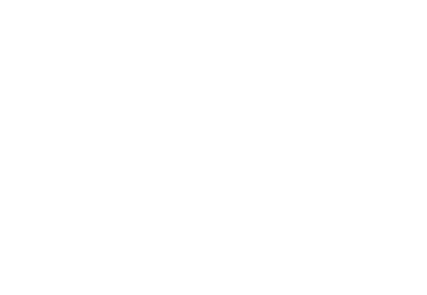 Indy & Company